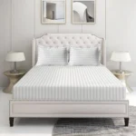 100% Cotton Alyssa Super King Bedsheet 2 Pillow Covers